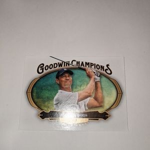 Tiger woods Goodwin champions (upper deck #75)